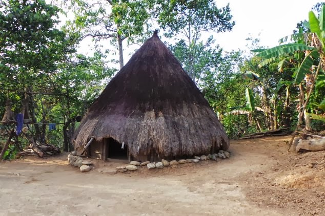  Rumah Bulat  Rumah  Tradisional NTT yang Rentan Penyakit