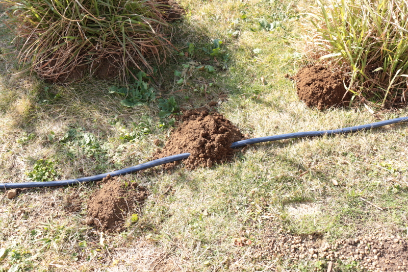伊豆白浜オリーブ園 もぐら塚