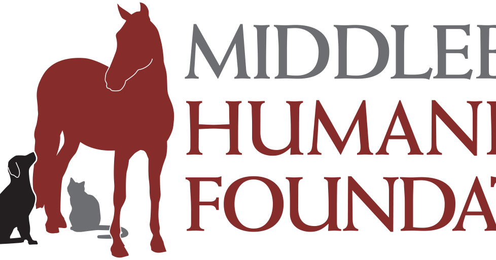 The Loudoun Pet Sitting Company Professional Pet Sitting & Dog Walking