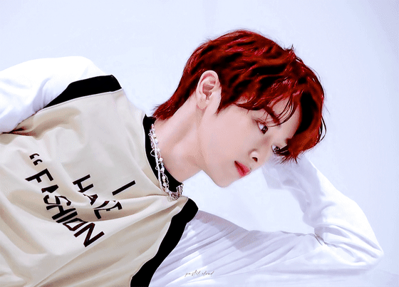 YoungIdioticAlaskankleekai-size_restrict