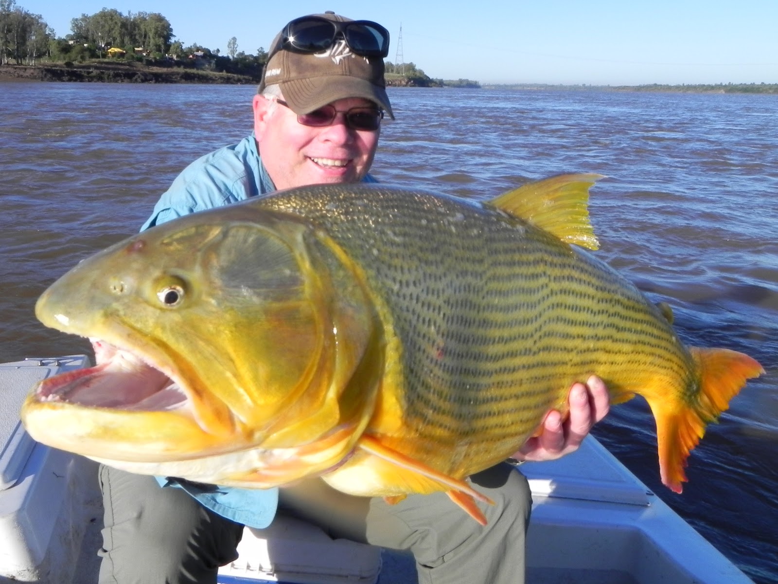 THE FISHING NEWS Klures for monster golden dorado