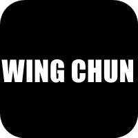 wing-chun-demonstracao