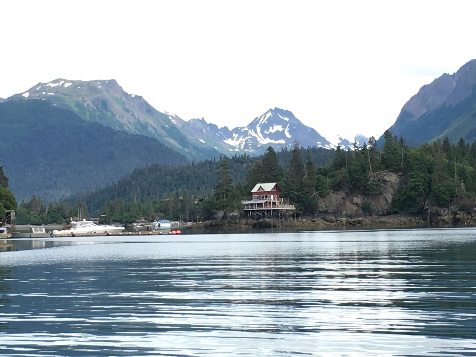 Life in Alaska — A View From Homer The Saltry and Danny JA Halibut