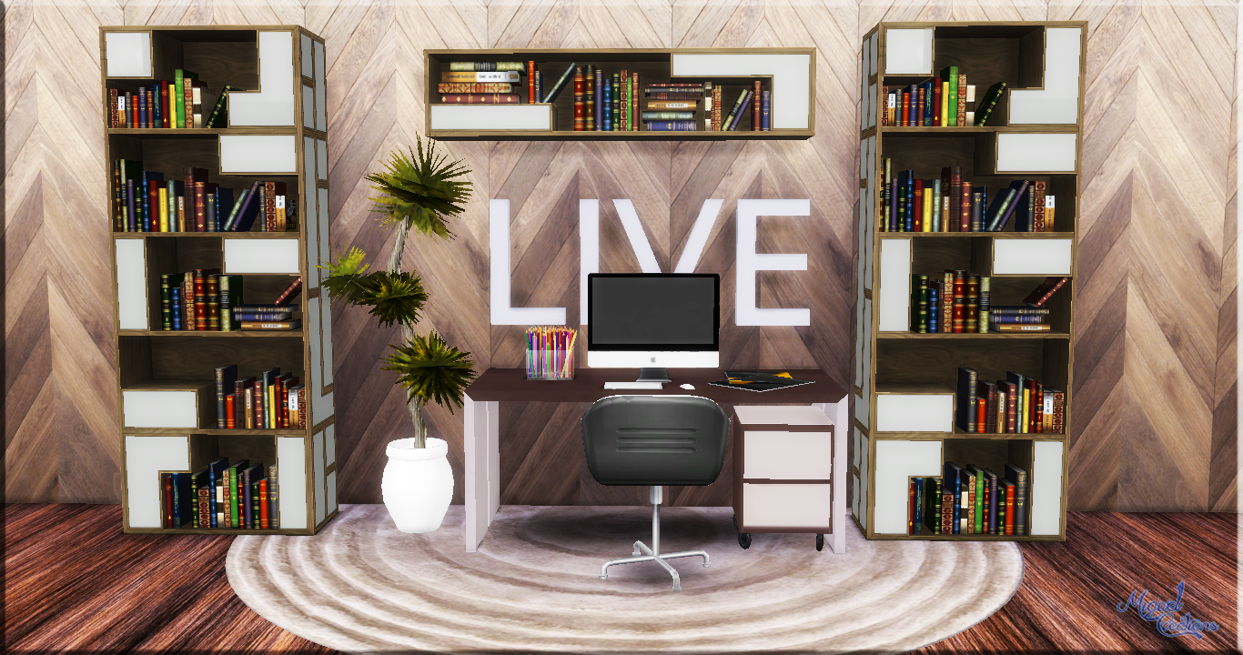 Bookshelf Venue Nathys Sims