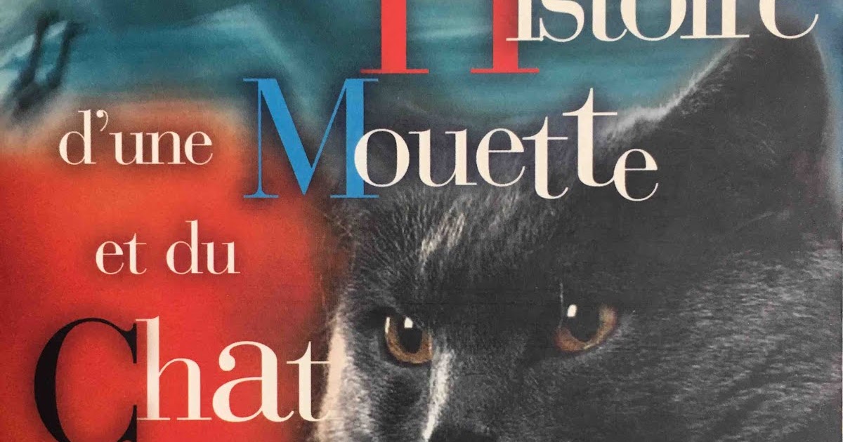 Histoire Dune Mouette Et Du Chat Qui Lui Apprit à Voler Nouvelles Histoire