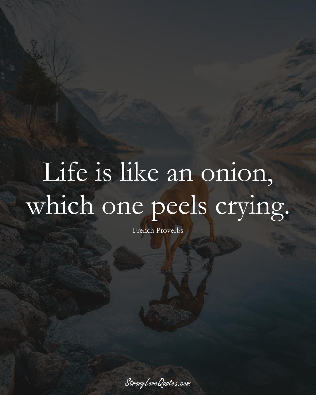 Life is like an onion, which one peels crying. (French Sayings);  #EuropeanSayings