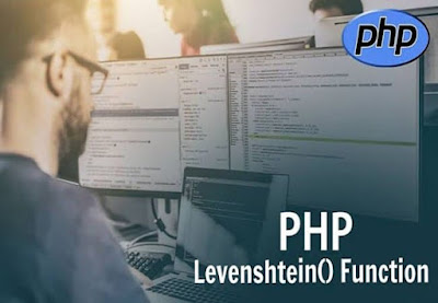 PHP levenshtein() Function