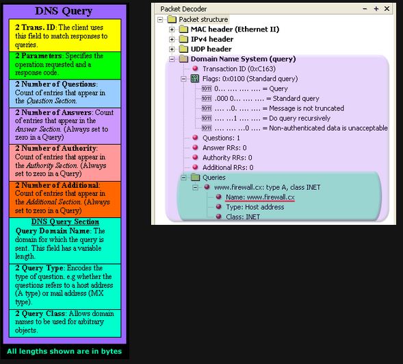 Something I know...: DNS Query Message Format