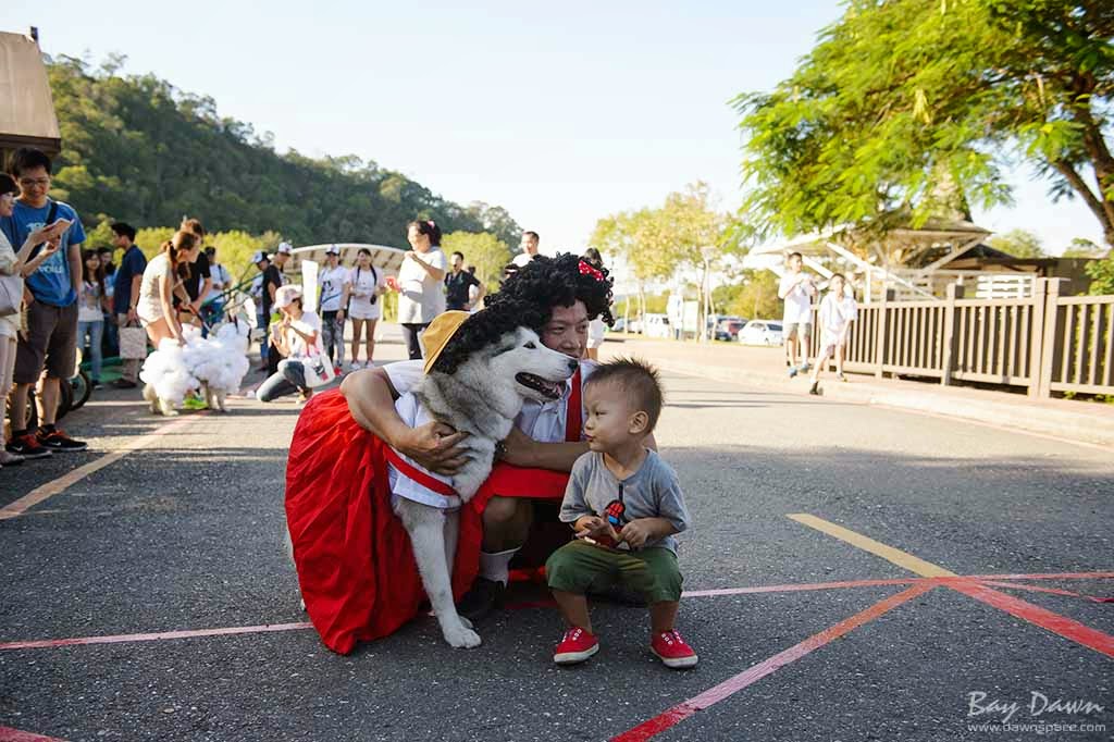 婚攝小動、婚攝推薦、活動紀錄、哈士奇、雪橇