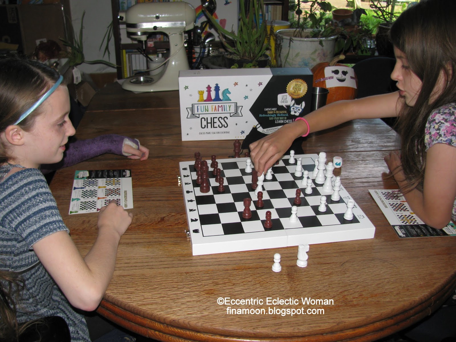 Eccentric Eclectic Woman: Brain Blox Fun Family Chess Review