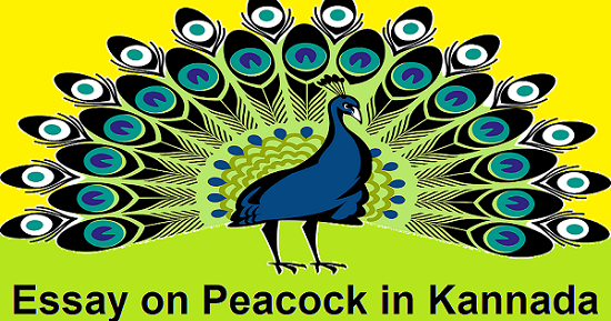 essay of peacock in kannada