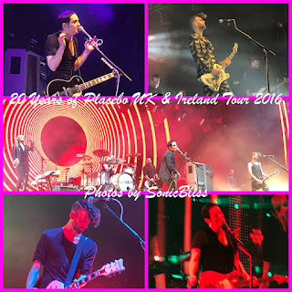 Photos by SonicBliss.  Picture contains various photos of Placebo performing during their 20 Years of Placebo UK & Ireland Tour in December, 2016.