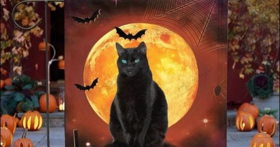 discount-halloween-black-cat-trick-or-treat-flag