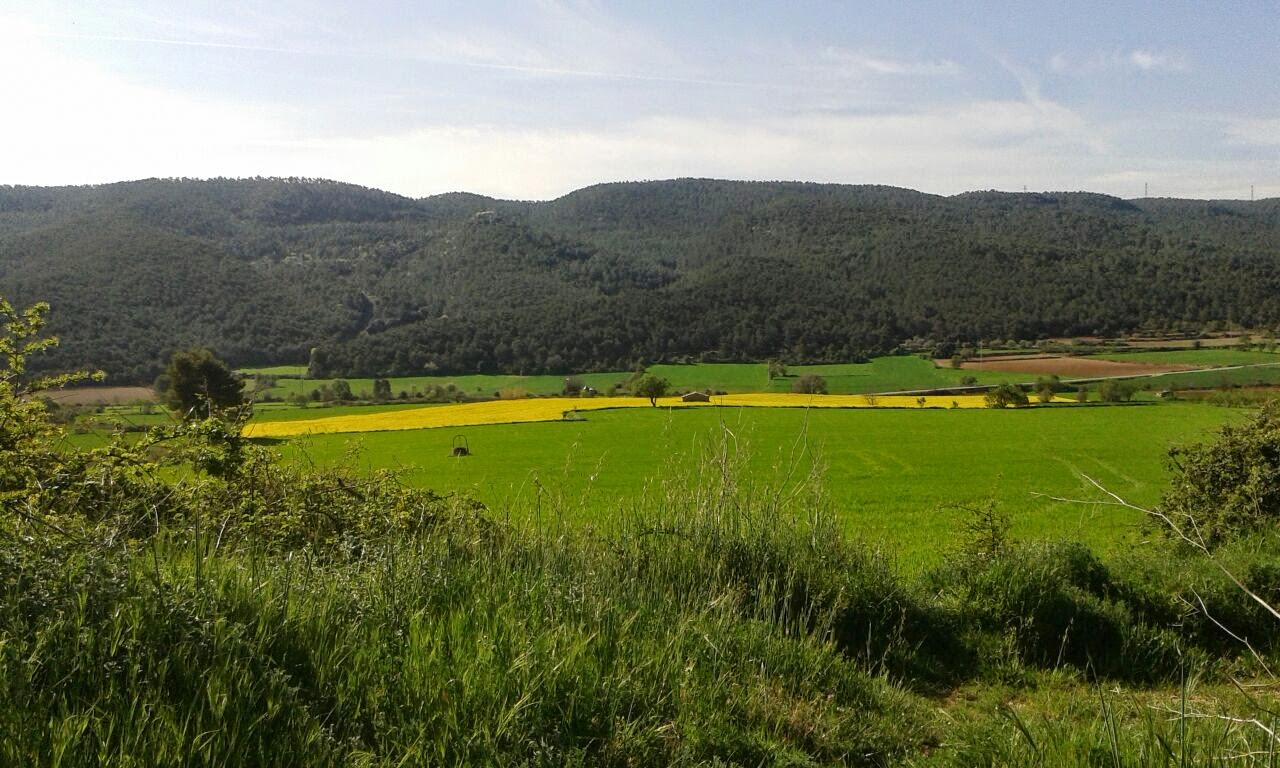 ACA TOSSUTS LA LLACUNA 18/04