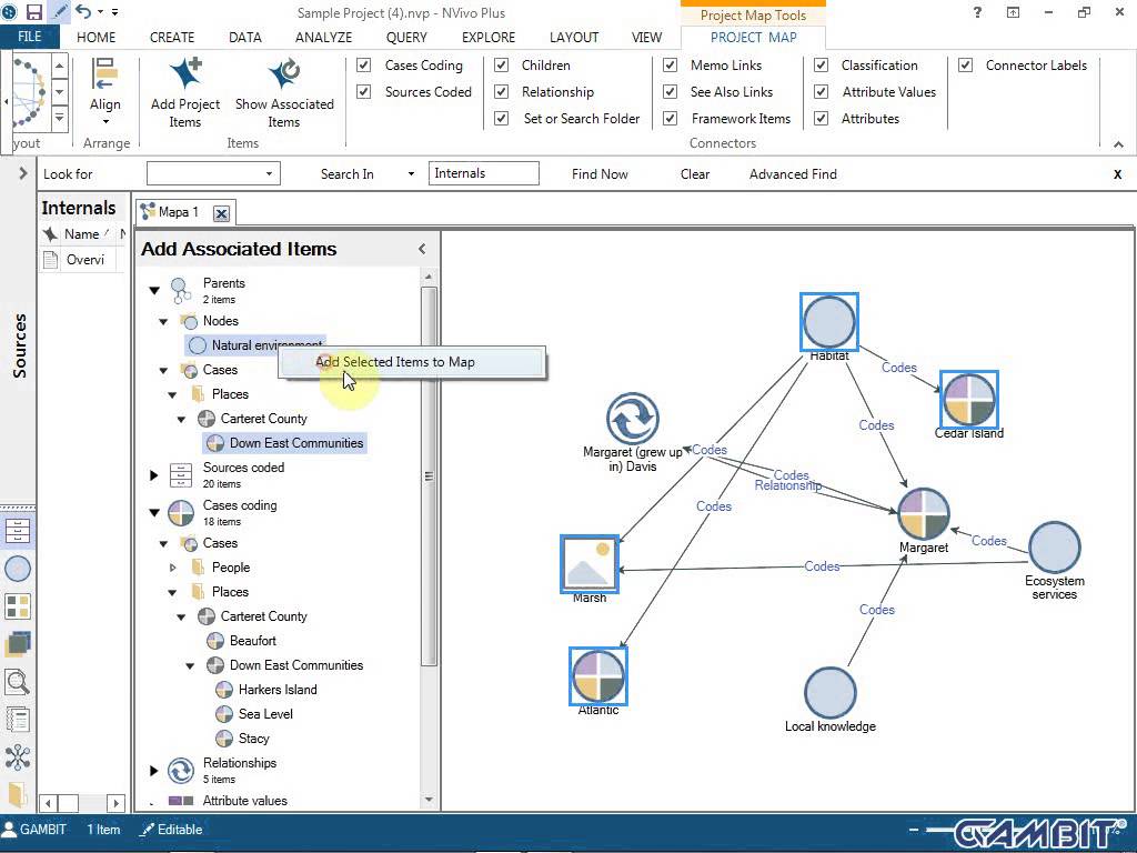 nvivo program