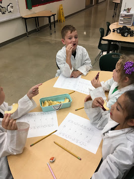 Science Investigation