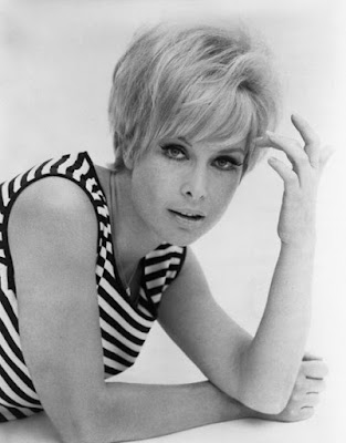 Barbara Eden portrait