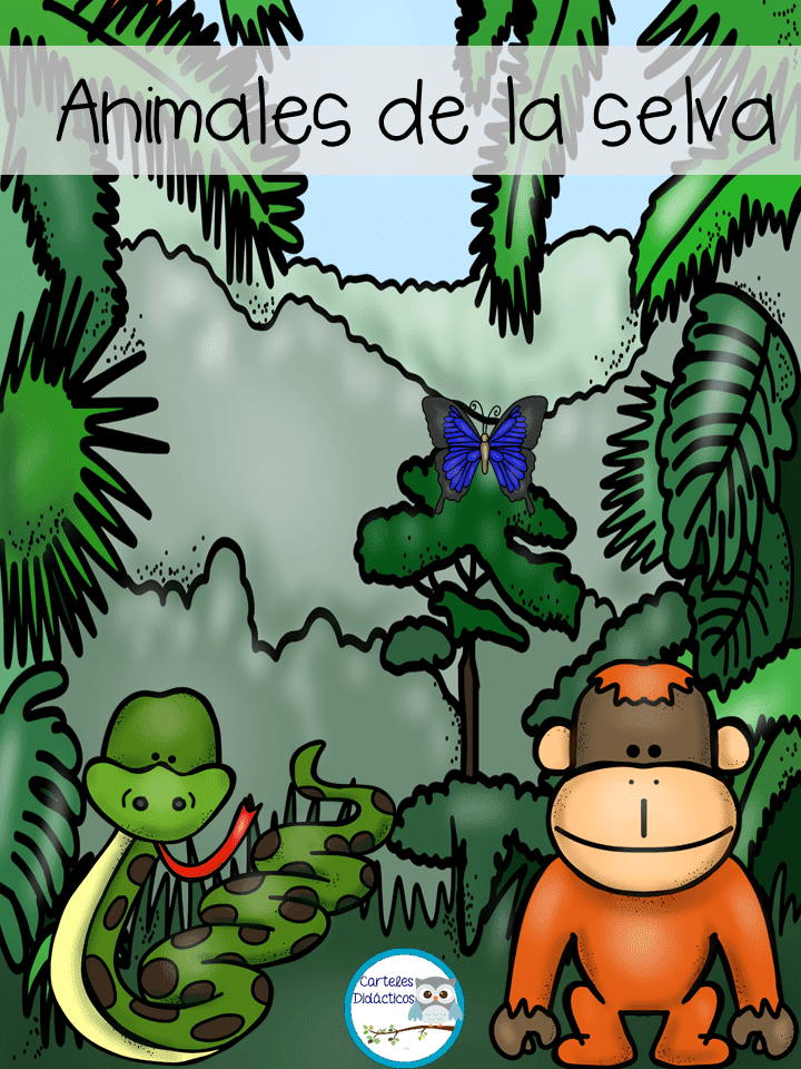 Los Animales Animales de la selva