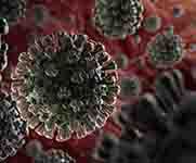 corona virus case in punjab corona virus case in punjab