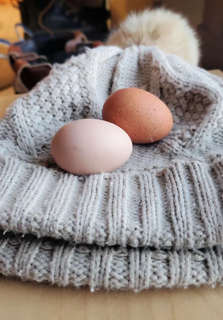 two eggs laying on winter pompom hat