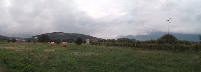View from the farm house