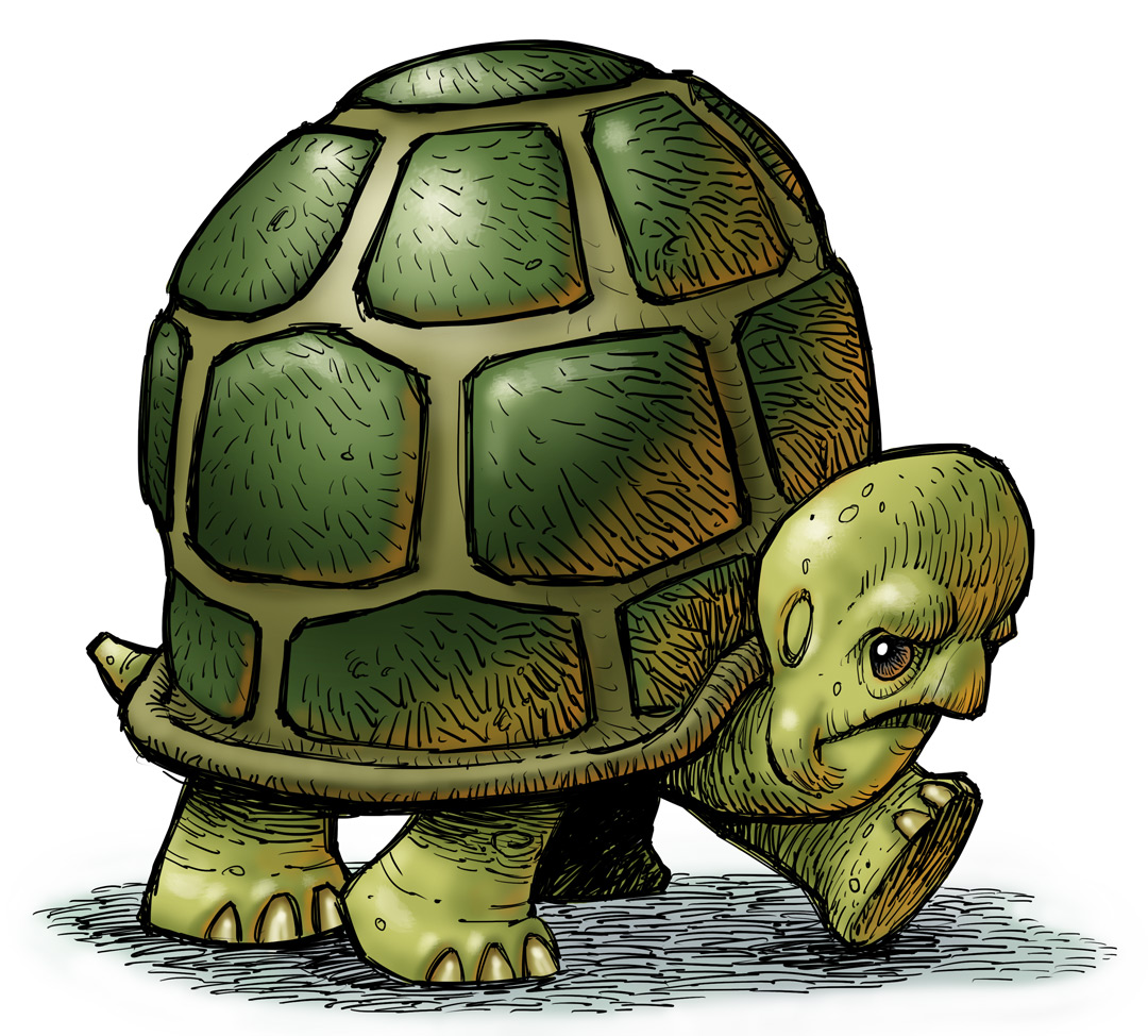 Digital Paint Journal Angry Turtle Digital Artwork Completed