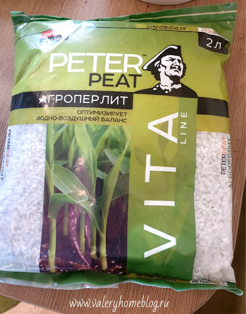 Гидрогель или вермикулит что лучше. Смотреть фото Гидрогель или вермикулит что лучше. Смотреть картинку Гидрогель или вермикулит что лучше. Картинка про Гидрогель или вермикулит что лучше. Фото Гидрогель или вермикулит что лучше Гидрогель или вермикулит что лучше. Смотреть фото Гидрогель или вермикулит что лучше. Смотреть картинку Гидрогель или вермикулит что лучше. Картинка про Гидрогель или вермикулит что лучше. Фото Гидрогель или вермикулит что лучше