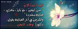 shof_71a9fe11b4eb8b4.jpg