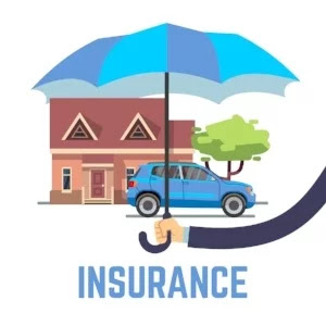 Asset insurance in India