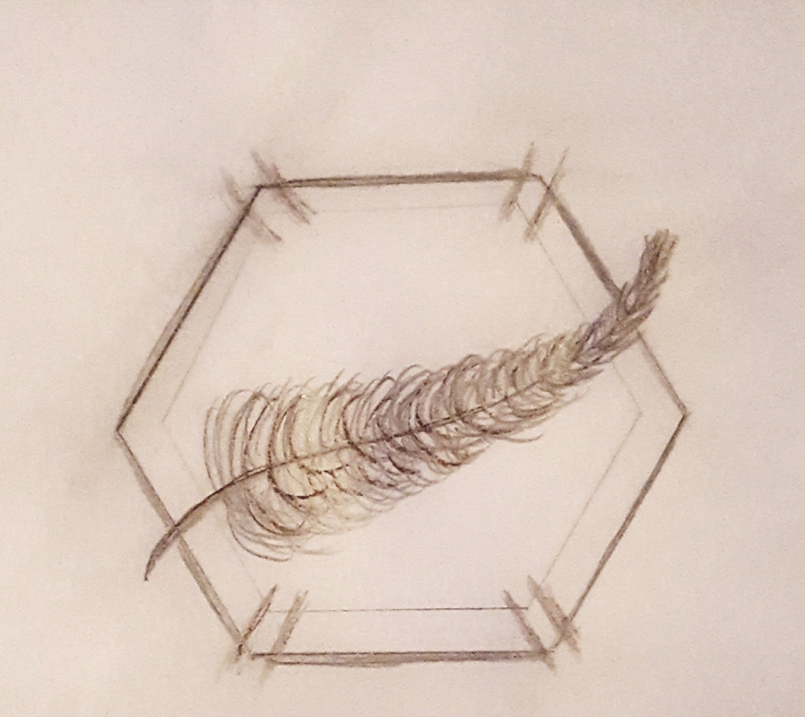 November 2017 Pink Mai Books