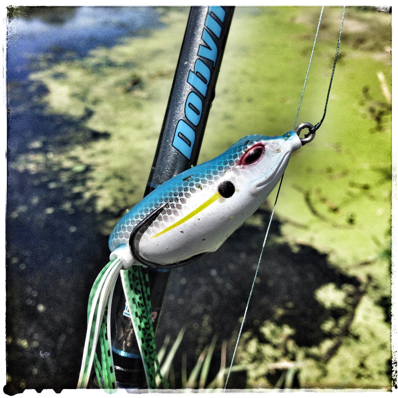 Bass Junkies Frog Pond Reaction Strike Revolution Frog Review