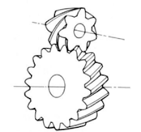 Screw Gear