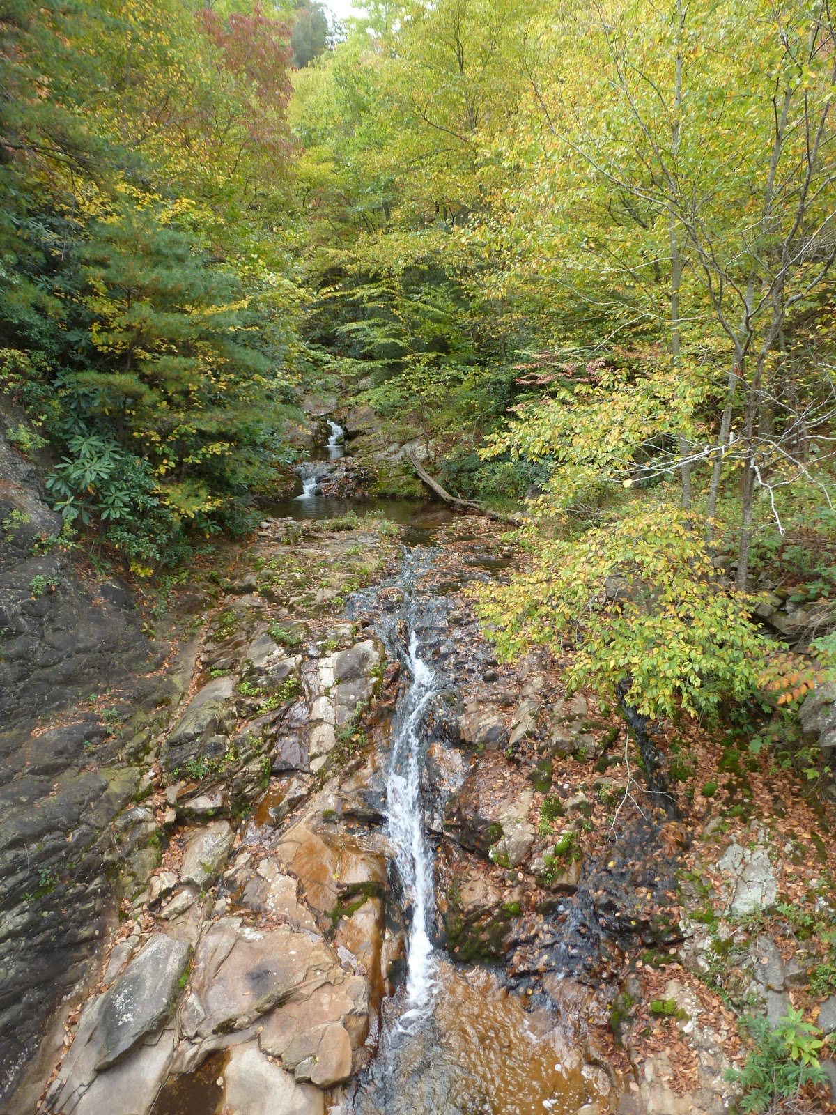 The Continuing Adventures of Eric, Noelle and Sierra Lost Cove, North