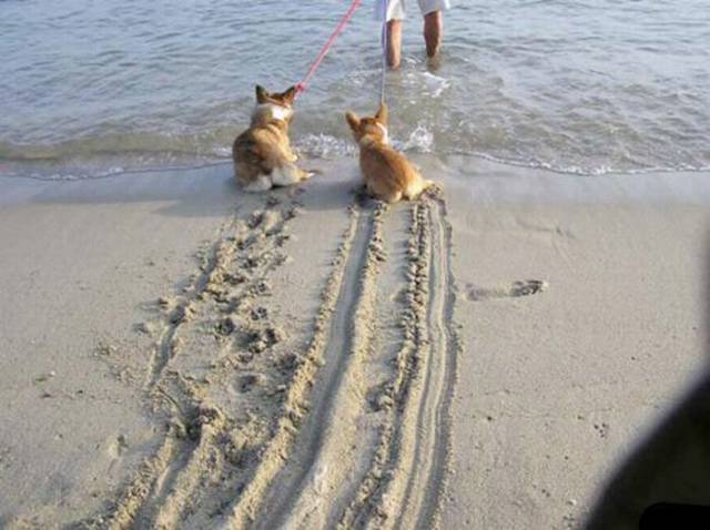 Picdump-006.jpg
