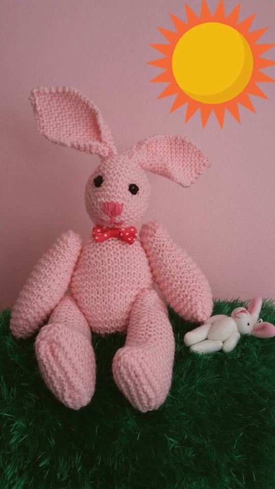 ozlem in oyuncak evi