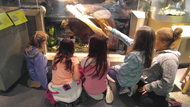 kids sitting in front of tank