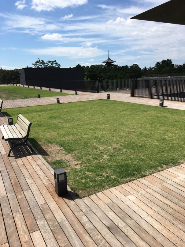 nara1.jpg