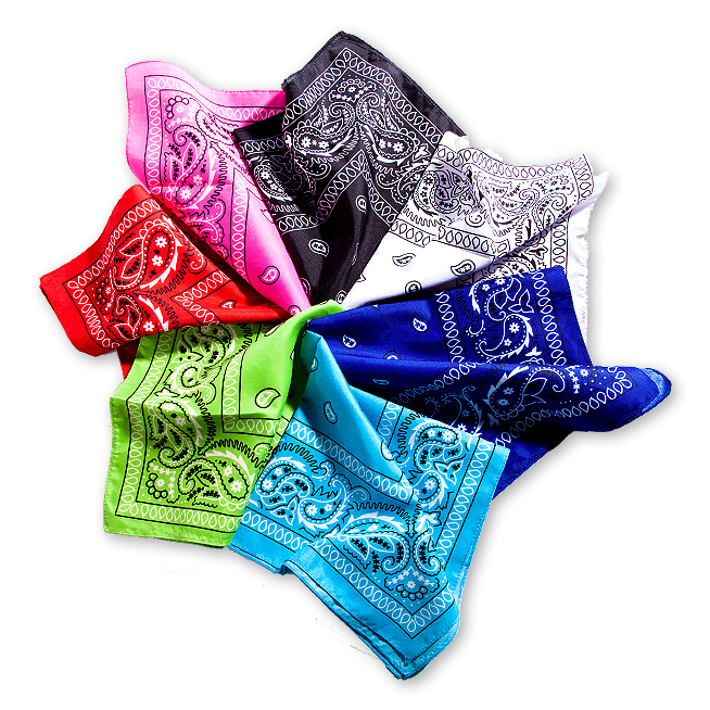 Tati Tavares Pra todo lado Bandanas