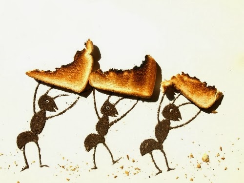 01-Ants-Photographer-Illustrator-Sarah-Rosado-Dirt-Art-Dirty-Little-Secrets-www-designstack-co