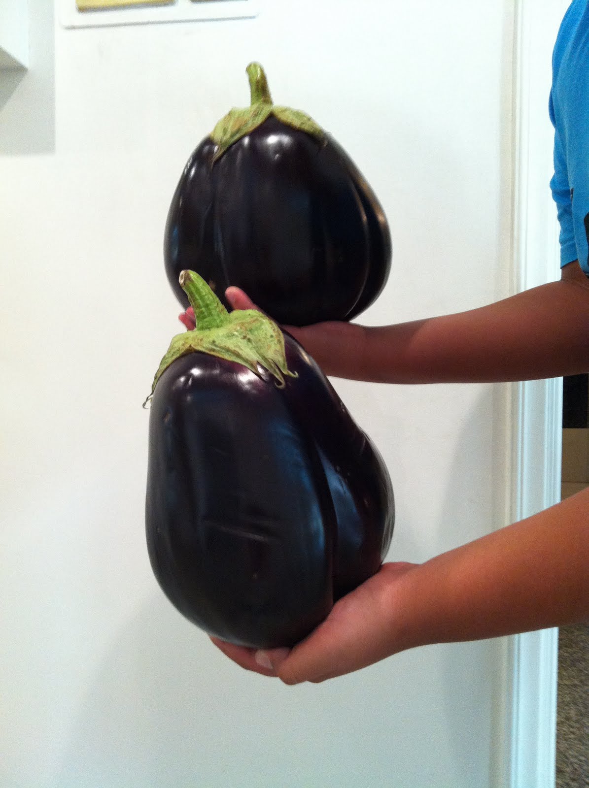 Mashmoom Very organic huge eggplant from Lebanon