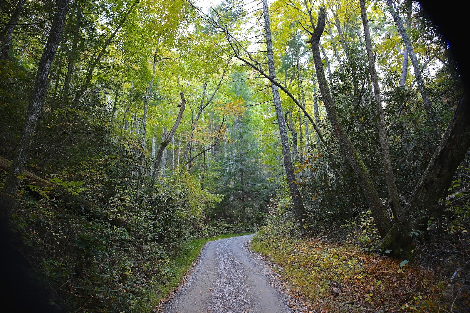 Sweet Southern Days Parson Branch Road In The Great Smoky Mountains