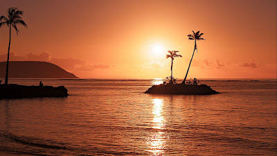 HD wallpaper island, sea, palm trees, beach, sunset