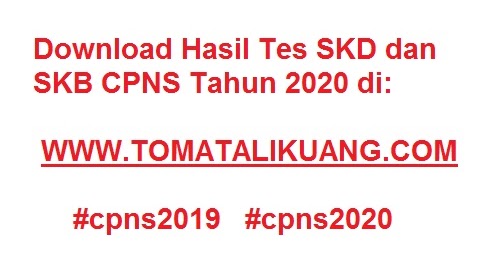 Download Hasil Tes Skd Cpns 2020 Semua Pemkab Pemerintah Kabupaten Formasi Cpns Tahun 2019 2020