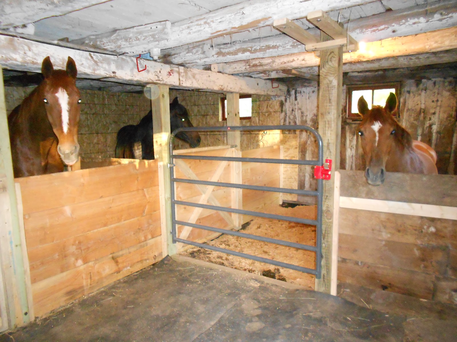 Poodles&Ponies: Extreme Barn Makeover: Version 2.0