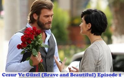brave and beautiful season 1 brave and beautiful season 1