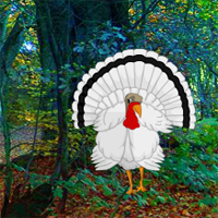  BEG -White Turkey Forest Escape