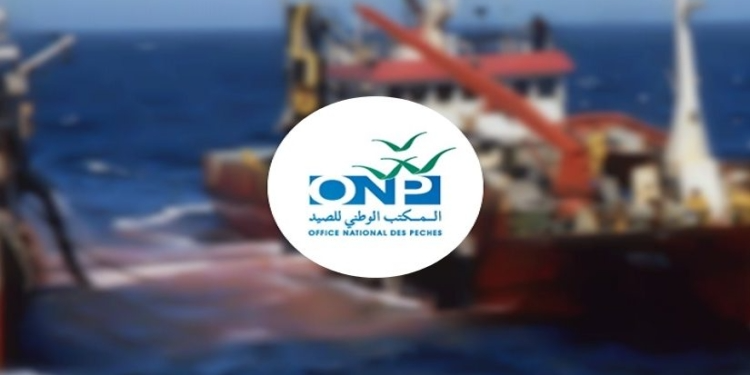 للحاصلين على الــباك + رخصة السياقة هنا مهام السائق وشروط توظيف السائقين والسائقات بالمكتب الوطني للصيد