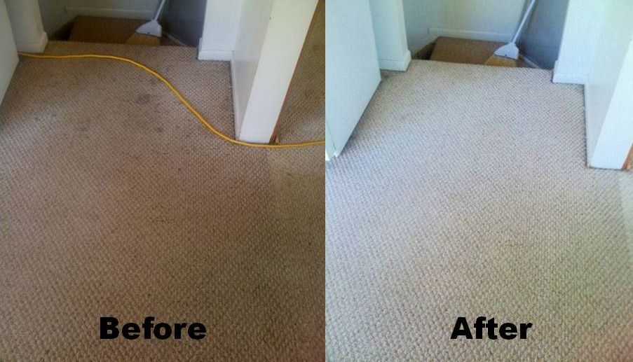 Is your carpet causing allergies to your family? Treat it as soon as