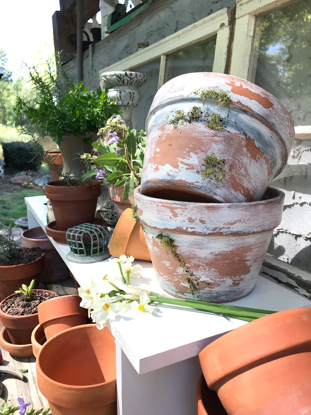 Easy DIY To Age Clay Pots Vintage Terra Cotta Pots