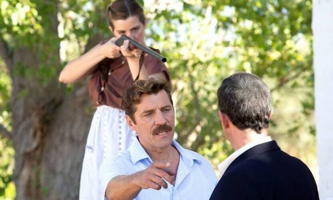 Άγριες Μέλισσες: Τι απόφαση πήρε ο ΑΝΤ1